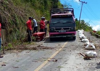 Para Anggota Pemuda Batak Bersatu (PBB) Kecamatan Simanindo, Kabupaten Samosir, saat  gotong royong, Selasa (20/4/2021) lalu, di Desa Hutaginjang, Kecamatan Simanindo.