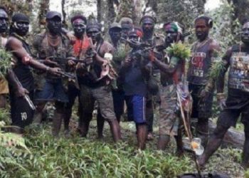 Para anggota KKB yang meneror masyarakat sipil di Papua. (Foto: TNI)