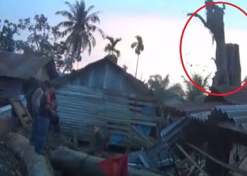 Pohon Tumbang Mendadak Tegak Kembali saat Akan Dipotong (Foto: iNews/Uulil Amri)