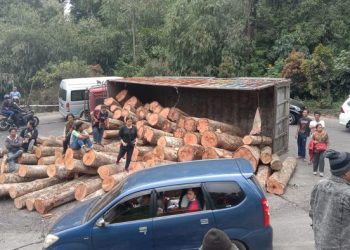 Truk terbalik di lintas Medan-Berastagi. (Dok Lantas Polrestabes Medan)