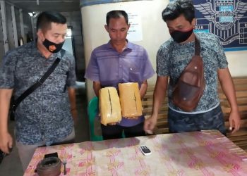 Foto tersangka memegang barang bukti ganja.