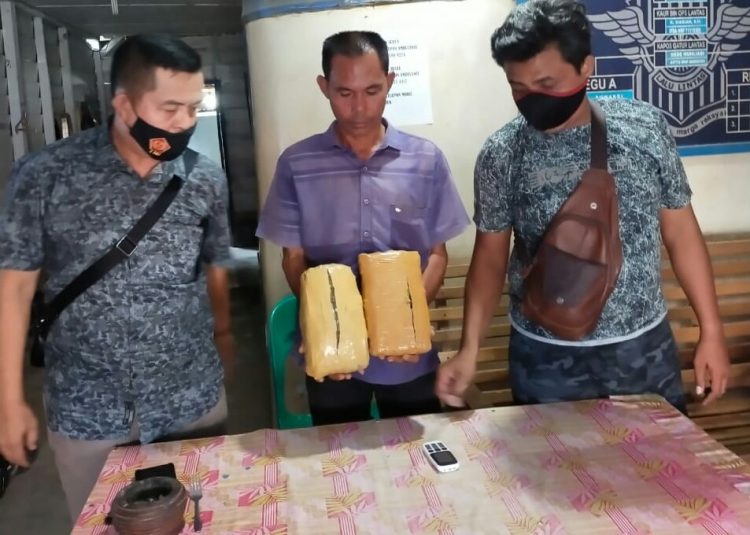 Foto tersangka memegang barang bukti ganja.