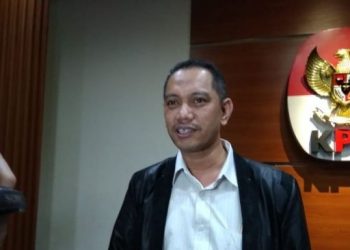 Wakil Ketua KPK Nurul Ghufron. (Antara/Benardy Ferdiansyah)