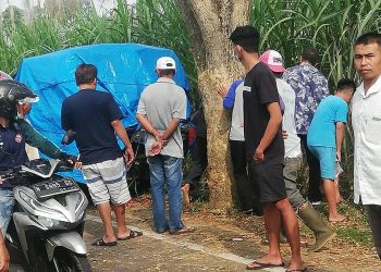 Pikap muat rombongan arisan kecelakaan tunggal di Malang/Foto: Istimewa (Dok Polres Malang)