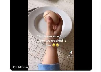Foto: Twitter/Viral Fenomena Telur dalam Telur di Tiktok, Ini Penjelasan Pakar IPB