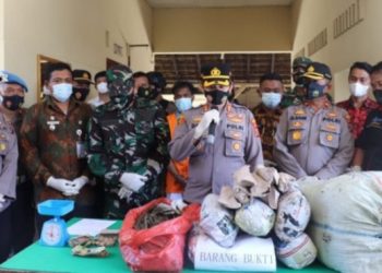 Kapolres Langkat AKBP Danu Pamungkas Totok saat ekspos kasus pengungkapan ganja 25,7 kg. (Foto: Antara)