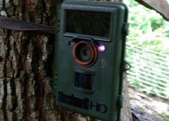 Ilustrasi kamera trap (Dok. BBKSDA Jawa Timur)