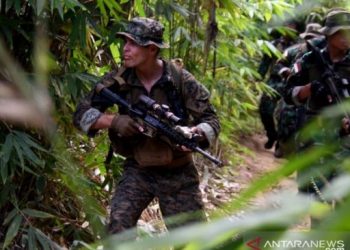 Latihan Marinir TNI AL dengan Marinir Amerika Serikat. [ANTARA/Dispen Kormar]