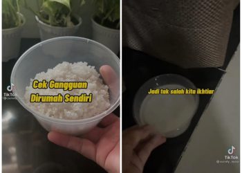 Periksa Gangguan Jin di Rumah, Netizen Ini Manfaatkan Garam Kasar dan Air Foto: TikTok/zuriaty_musa