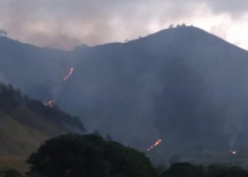 Foto: Kebakaran lahan bukit di dekat Danau Toba (dok. BPBD Dairi)