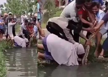 Tangkapan layar vdeo emak-emak tangkap ular piton di Pekanbaru. [Ist/@pkucity]