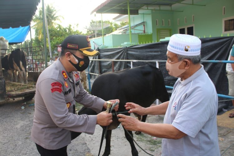 Kapolres Pematangsiantar AKBP Boy S. B. Siregar S. I. K, menyerahkan hewan kurban berupa satu ekor sapi dari Kapolda Sumut, Irjen. Pol. Drs. R.Z. Panca Putra S., MSi, kepada Ketua MUI  Kota Pematangsiantar.