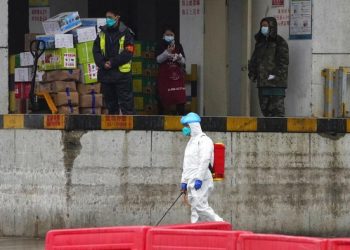 Tim peneliti WHO mendatangi Wuhan,China, untuk selidiki asal-usul virus Corona. Salah satu lokasi yang didatangi tim peneliti WHO adalah Pasar Baishazhou. Foto: AP Photo/Ng Han Guan