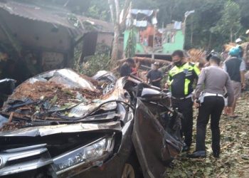 Pohon tumbang timpa mobil di Bengkulu (Dok. Istimewa)