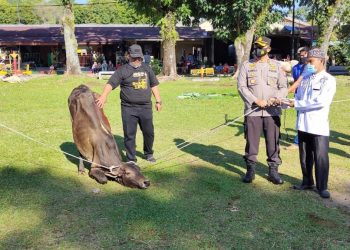 Penyembelih hewan kurban, dipimpin langsung Kapolres Simalungun, AKBP Nicolas Dedy Arifianto.