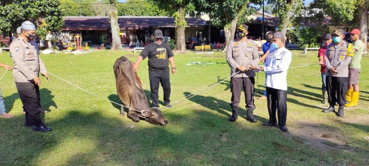 Penyembelih hewan kurban, dipimpin langsung Kapolres Simalungun, AKBP Nicolas Dedy Arifianto.