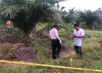 Foto: Polisi di TKP penemuan tulang belulang di Riau (dok. polisi)