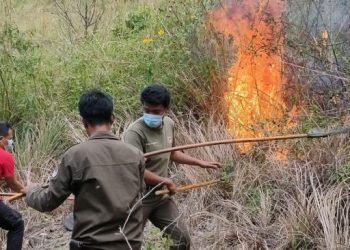 Petugas berupaya memadamkan api yang membakar hutan dan lahan. [Ist]