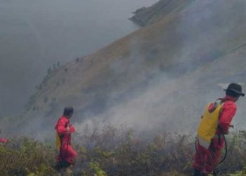 25 Hektare Lahan di Samosir Terbakar. [Ist]