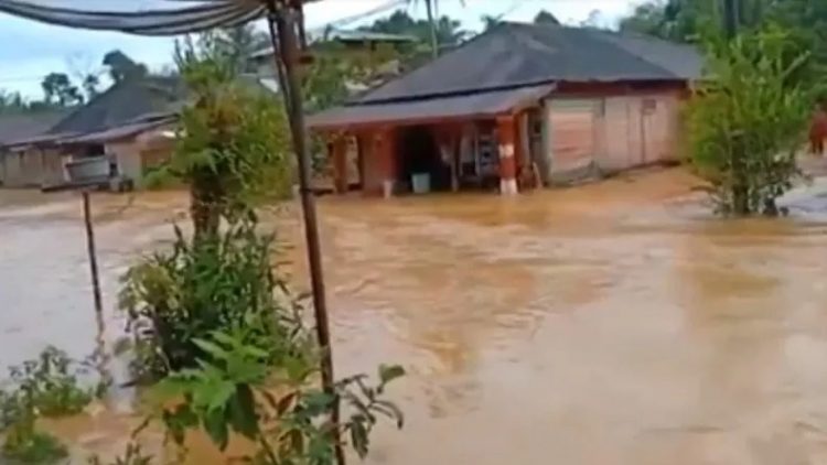 Banjir merendam Desa Batang Natal, Kecamatan Lingga Bayu, Kabupaten Madina. (Foto: iNews/Ahmad Husein Lubis)