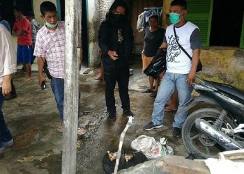 Rumah jagal kucing di Medan. (Datuk Haris/detikcom)