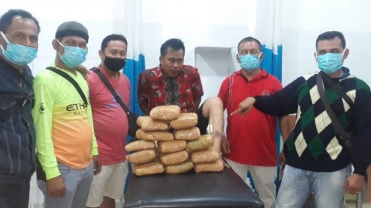 Barang bukti ganja diamankan Polres Madina. (Foto: Antara).