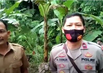 Kapolsek Alasa Ipda Sahabat Zebua saat berada di lokasi pembunuhan warga di Nias Utara. (Foto: iNews/Iman Jaya Lase)