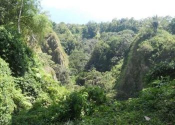 Ngarai Sianok di Bukittinggi, Sumatera Barat. [Suara.com/Adhitya Himawan]