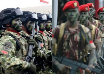 Kostrad dan Kopassus merupakan pasukan elite TNI AD dengan spesifikasi dan tugas yang berbeda. Foto/ist