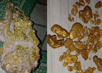 Bongkahan emas yang ditemukan warga Desa Ujan Mas, Kecamatan Sungai Are, Kabupaten Ogan Komering Ulu (OKU) Selatan, Sumatera Selatan, di aliran Sungai Are. (fFoto: Antara/HO.)