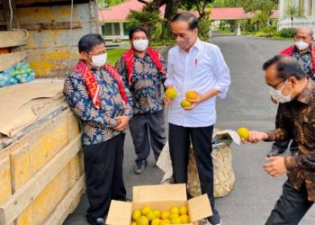 Pada Senin lalu Presiden Jokowi menerima satu truk berisi buah jeruk seberat tiga ton dari perwakilan warga Liang Melas Datas, Kabupaten Karo, Sumut di Istana Merdeka. Foto/BPMI