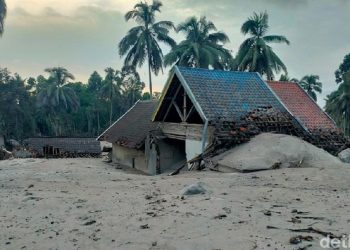 Foto: Deny Prastyo Utomo/detikcom