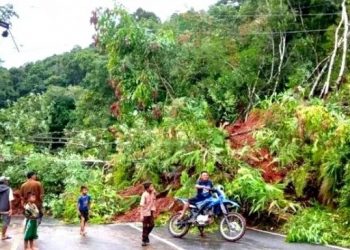 Longsor di jalan Madina-Tapsel. [Dok.Digtara]