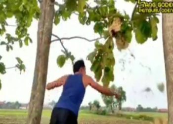 Tangkapan layar video Salam Dari Majalengka. Foto/Ist.