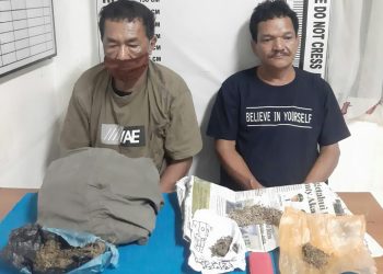 Foto kedua pelaku dan barang bukti ganja yang diamankan Sat Narkoba Polres Pematangsiantar.