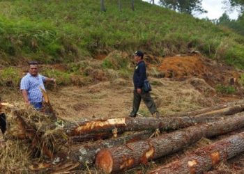Lokasi penebangan liar hutan di Kabupaten Toba. [Ist]