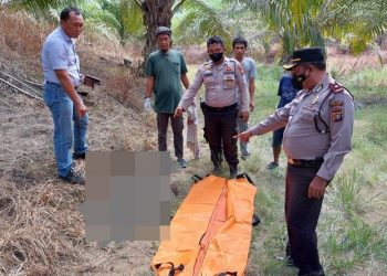 Warga Pekanbaru, Riau tewas dengan kondisi badan hancur dan ususnya keluar. Diduga tewas diinjak gajah (Banda Haruddin Tanjung/MNC Portal)