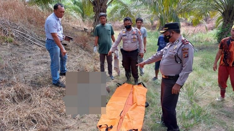 Warga Pekanbaru, Riau tewas dengan kondisi badan hancur dan ususnya keluar. Diduga tewas diinjak gajah (Banda Haruddin Tanjung/MNC Portal)