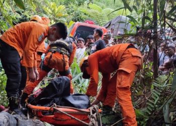 Tim SAR mengevakuasi jasad sopir mobil pika yang jatuh ke jurang.