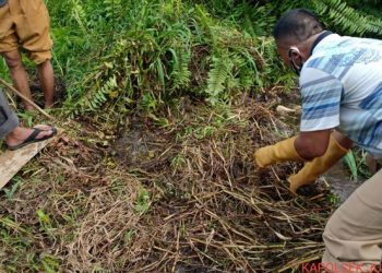 Lokasi penemuan mayat wanita dalam karung di Bungo, Jambi (Foto: dok. Istimewa)