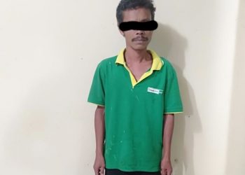Polisi berhasil menangkap pelaku penganiayaan yang berujung tewasnya pria di Toba. Foto: Istimewa