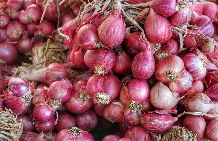 Humbahas Surplus Produksi Bawang Merah Tembus 11 Ribu Ton Sejak Tahun 2021