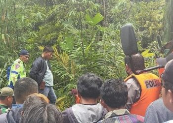 Tim gabungan melakukan pencarian mobil pikap yang terjun bebas ke jurang sungai. [Ist]