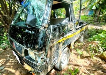 Satu unit mobil pikap Mitsubishi L300 dengan nomor polisi BA8040XY mengalami kecelakaan tunggal hingga masuk jurang sedalam 3 meter. (Ist)