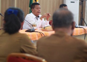 Bupati Simalungun, Radiapoh Hasiholan Sinaga, saat memberikan arahan.