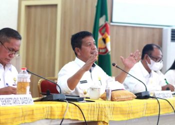 Bupati Simalungun, Radiapoh Hasiholan Sinaga saat memberikan arahan.