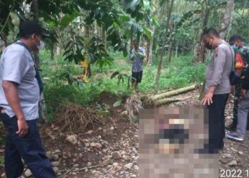 Korban tewas diduga dibunuh adik kandung saat ditemukan warga Dusun III, Desa Talapeta, Kecamatan STM Hilir, Kabupaten Deliserdang, Sumatera Utara, Kamis (6/5/2022). HO