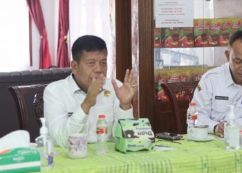 Bupati Simalungun, Radiapoh Hasiholan Sinaga saat menyampaikan arahan.