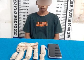 Foto pelaku dan barang bukti ganja yang diamankan Polisi.