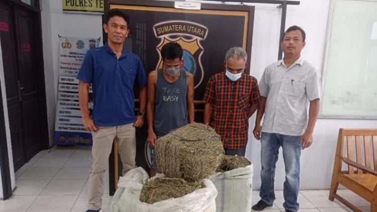 Kedua kurir ganja yang ditangkap polisi di pinto Tol Tebingtinggi dengan barang bukti ganja 50 kg. (Foto: Ist)